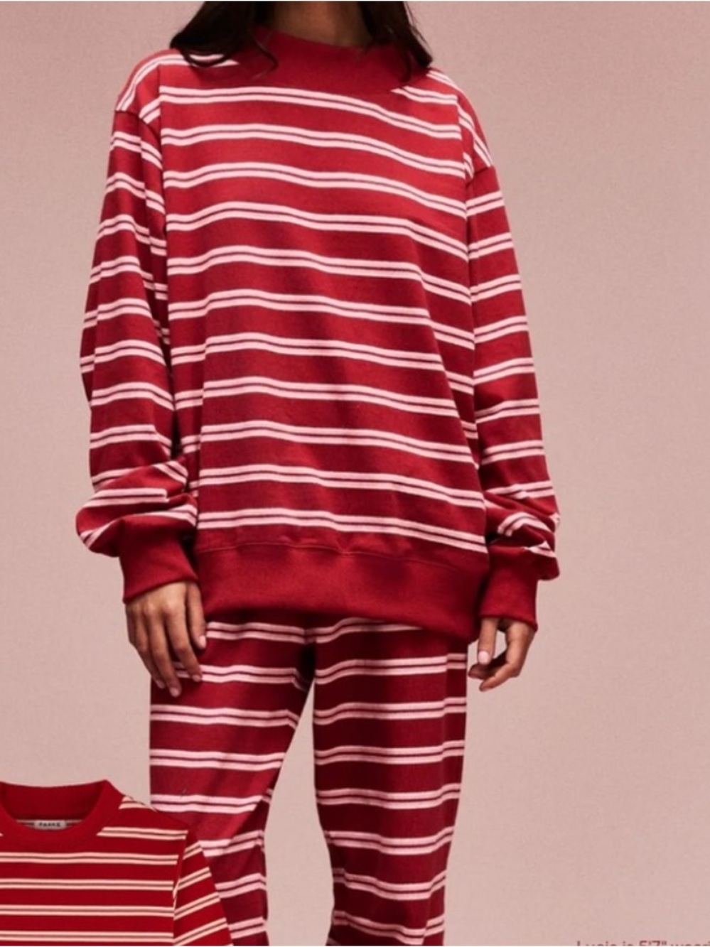 NWT Parke Striped Mockneck S/M